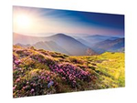 FullVision Wide Format