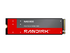 SanDisk NAS 800 - SSD