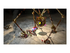 Pikmin 1+2 Nintendo Switch