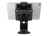Compulocks Universal Tablet Cling Core Counter Stand or Wall Mount monteringssats