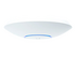 Ubiquiti UniFi AP-AC Long Range