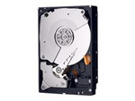 WD RE3 WD7502ABYS - Hårddisk