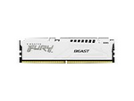 FURY Beast - DDR5