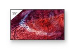 Bravia Professional Displays FW-55BZ40P