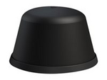The Fez