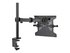 StarTech.com Laptop Desk Mount, Monitor and Laptop Mount for Desk, Displays 34in (8kg/17.6lb) & Laptops (4.5kg/9.9lbs), Adjustable & Articulating VESA Laptop Tray Arm
