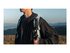 Insta360 X4 Air - Standard Bundle