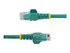 Startech 100ft CAT6 Cable, 10 Gigabit Snagless RJ45 650MHz 100W PoE Cat 6 Patch Cord, 10GbE UTP CAT6 Network Cable, Green CAT6 Ethernet Cable, Wiring is UL Certified/TIA