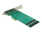 PCI Express Card > 2 x internal M.2