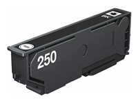 Epson 250 - svart - original