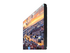 Samsung VH55C-E VHB-E Series
