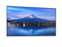 Sharp MultiSync PN-P556 P6 Series