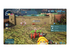 Pikmin 4 Nintendo Switch