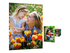 HP Everyday Photo Paper