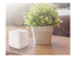 ASUS ZenWiFi XD5 - Wifi-system