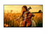 Sony Bravia 5 K-75XR5 75" Klass (74.5" visbar) LED-bakgrundsbelyst LCD-TV
