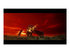 Elden Ring Tarnished Edition Nintendo Switch 2
