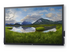 Dell P7524QT 75" Klass (74.52" visbar) LED-bakgrundsbelyst LCD-skärm