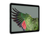Google Pixel Tablet - surfplatta