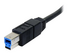 StarTech.com 6 ft / 2m Black SuperSpeed USB 3.0 Cable A to B