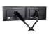 Iiyama DS3002C-B1 monteringssats