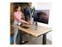 R-Go Double monitor arm Caparo monteringssats