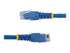 StarTech.com 6ft CAT6 Ethernet Cable, 10 Gigabit Molded RJ45 650MHz 100W PoE Patch Cord, CAT 6 10GbE UTP Network Cable with Strain Relief, Blue, Fluke Tested/Wiring is UL Certified/TIA
