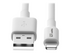 Eaton Tripp Lite Series USB-A to Lightning Sync/Charge Cable (M/M)