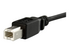 StarTech.com 3 ft Panel Mount USB Cable B to B