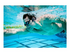 Creative Outlier Free Pro+