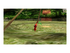 Pikmin 1+2 Nintendo Switch