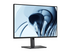 Dell Pro P P2426 - Halogen-Free