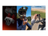 Insta360 Ace Pro 2 - Single Battery Standard Bundle