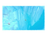 Dave the Diver Complete Edition Nintendo Switch 2