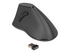 Delock Ergonomic - vertikal mus