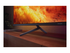 Philips 50PUS8001 50" LED-bakgrundsbelyst LCD-TV