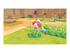 Pokémon Pokopia Nintendo Switch 2