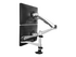 StarTech.com Desk Mount Dual Monitor Arm