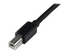 StarTech.com 20m / 65 ft Active USB 2.0 A to B Cable