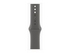 Apple Watch Series 10 (GPS + Cellular)