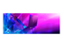 Razer Blade 16 - 16"