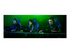 Razer Blade 16 - 16"