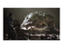 Mortal Shell II Reverend Edition Sony PlayStation 5