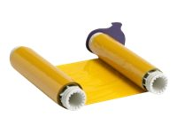 Brady - gul - färgband