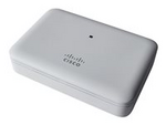Business 141ACM Mesh Extender
