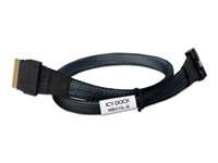 ICY Dock MB410L-B - intern SAS-kabel