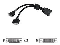 Matrox DVI-kabel - 30 cm