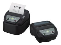 Seiko Instruments MP-B30