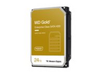 WD Gold WD242KRYZ - Hårddisk