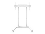 M Motorized Floorstand